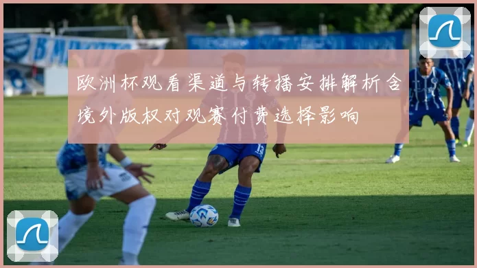 欧洲杯观看渠道与转播安排解析含境外版权对观赛付费选择影响