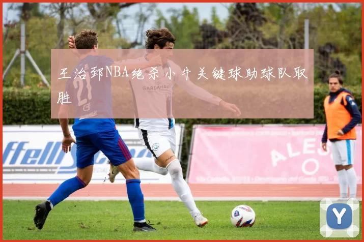 王治郅NBA绝杀小牛关键球助球队取胜