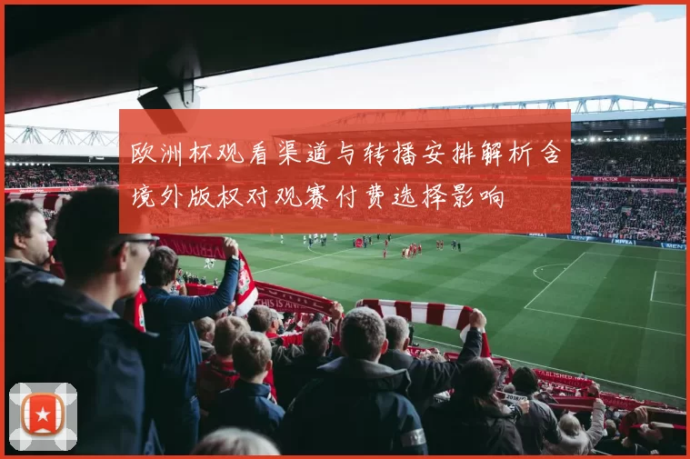 欧洲杯观看渠道与转播安排解析含境外版权对观赛付费选择影响
